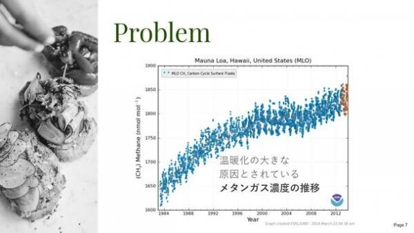 卵や乳製品を使わずできる簡単レシピやショップ情報も満載！ヴィーガン＆ベジタリアンのためのコミュニティアプリ「Ve(ヴィー)」が新登場