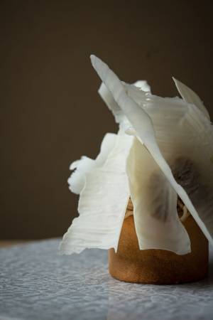 京都焼き栗専門店「比沙家」　高級栗に特化した旗艦店を麻布十番にOPEN