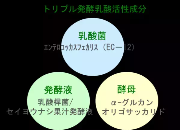 香港、オーストラリアで資格を持つ薬剤師チームと共同開発。地球環境と肌環境を考え、菌活美容法に着目したスキンケア新ブランド Triage Beaute フローラキュアシリーズを発売