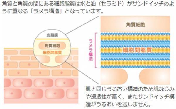 香港、オーストラリアで資格を持つ薬剤師チームと共同開発。地球環境と肌環境を考え、菌活美容法に着目したスキンケア新ブランド Triage Beaute フローラキュアシリーズを発売