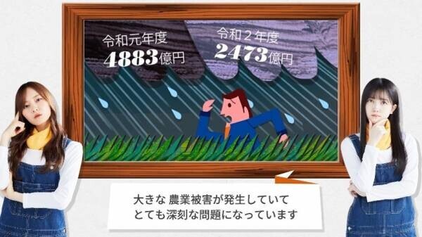 乃木坂46が解説する“国消国産”メッセージ動画の公開