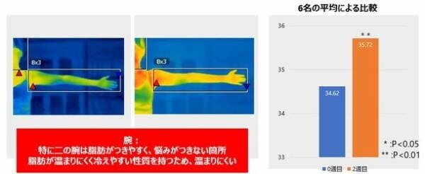 なかなか痩せられない“不燃体質”をチェンジ！“脂肪燃焼体質”の最新研究結果を発表