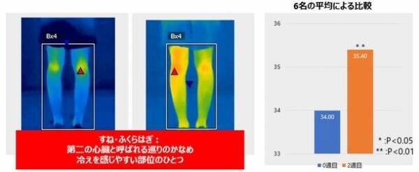 なかなか痩せられない“不燃体質”をチェンジ！“脂肪燃焼体質”の最新研究結果を発表