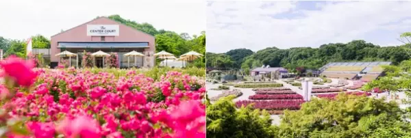 「花フェスタ記念公園」が「ぎふワールド・ローズガーデン」に改称！