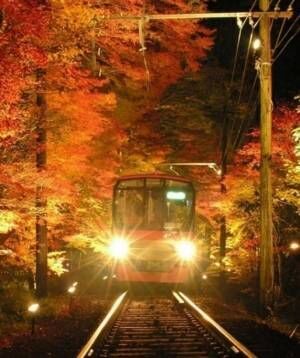 ～秋の夜空を彩る紅葉のライトアップ～11月6日(土)～28日(日)に「京の奥座敷・貴船もみじ灯篭」を開催します