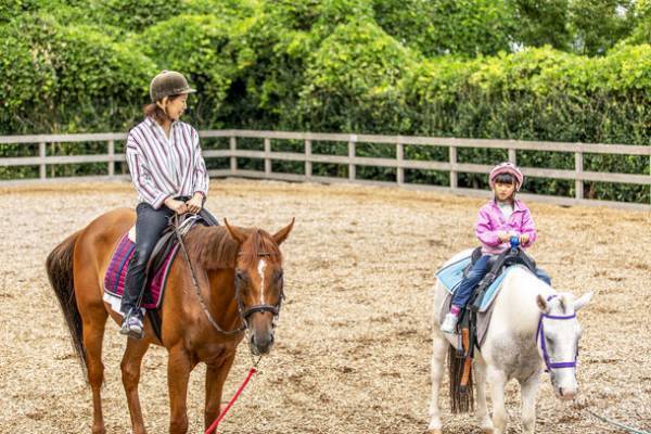 ～馬のまち栗東～ 引退競走馬によるホースセラピーを軸にした「栗東ウエルネスツアー」のモニター参加者募集を開始