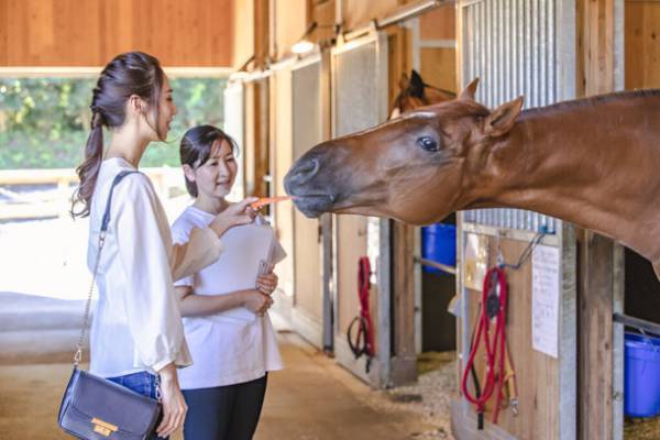 ～馬のまち栗東～ 引退競走馬によるホースセラピーを軸にした「栗東ウエルネスツアー」のモニター参加者募集を開始