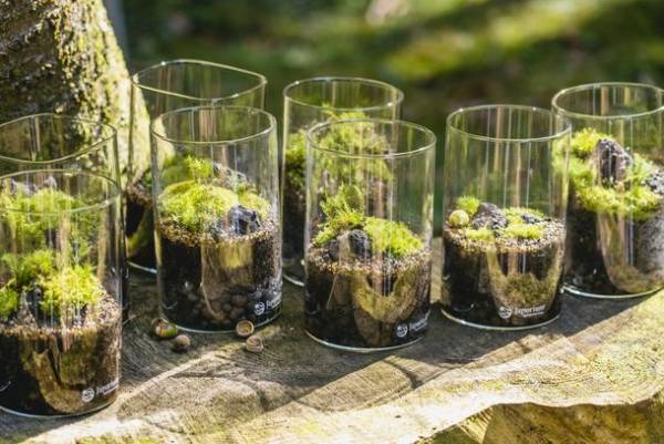 ～馬のまち栗東～ 引退競走馬によるホースセラピーを軸にした「栗東ウエルネスツアー」のモニター参加者募集を開始