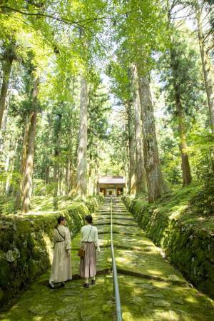 ～馬のまち栗東～ 引退競走馬によるホースセラピーを軸にした「栗東ウエルネスツアー」のモニター参加者募集を開始