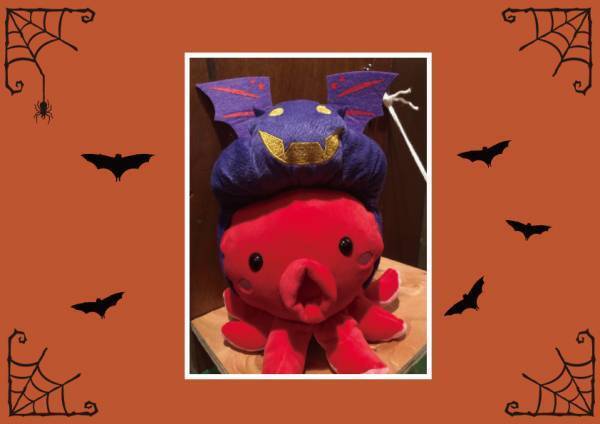 観光船「サンタマリア」の人気企画「タコ探し」のハロウィンver.が登場！