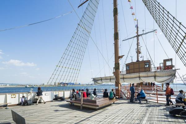 観光船「サンタマリア」の人気企画「タコ探し」のハロウィンver.が登場！