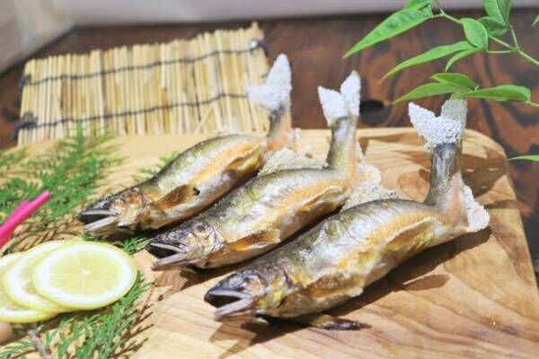 川魚好き必見 岐阜県の 天然鮎みやちか がなぜ冬でも長良川の天然鮎が美味しく食べられるのか秘密を公開 21年10月14日 ウーマンエキサイト 1 3