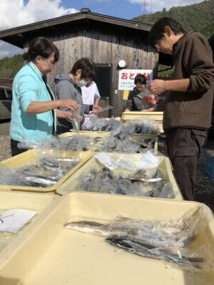 川魚好き必見！岐阜県の「天然鮎みやちか」がなぜ冬でも長良川の天然鮎が美味しく食べられるのか秘密を公開！