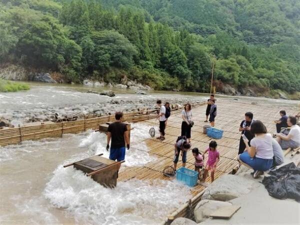 岐阜県の「天然鮎みやちか」が天然鮎漁獲の伝統的な手法「ヤナ漁」の実態を初公開！
