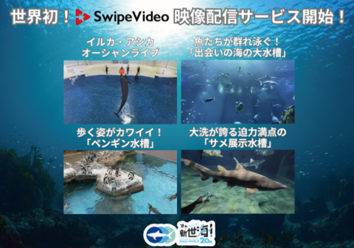 世界初 Swipevideo を使用した新映像配信サービスがスタート 2021年10月11日 月 より配信開始 2021年10月12日 ウーマンエキサイト 3 7