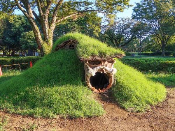 工学院大学 建築学部生が江戸東京たてもの園「復元縄文住居」を制作　～ 「縄文2021 ―縄文のくらしとたてもの―」で公開 ～