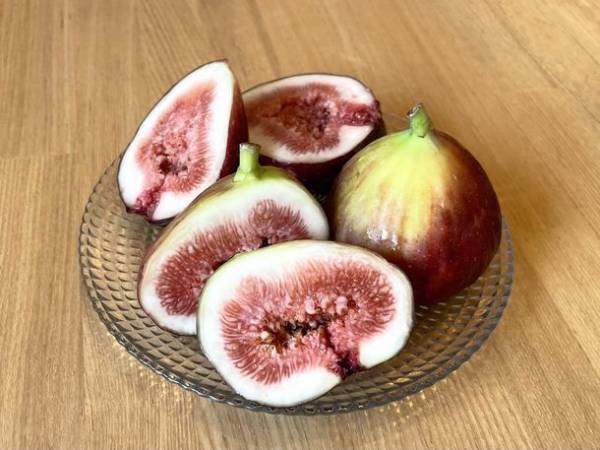 紅茶専門店amsu tea houseが秋の限定メニュー「いちじくとほうじ茶のロールケーキ」を10月8日からスタートします。