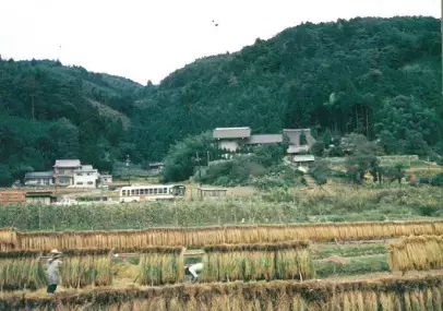 旧塗装復刻バスの運行について