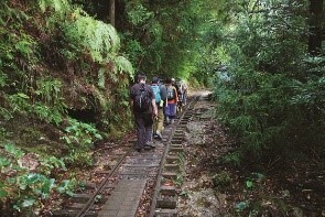 地域を熟知した「阪急交通社」支店スタッフと現地体験にこだわる「ベルトラ」が共同企画で「旅体験」を創り出す鹿児島県からスタート