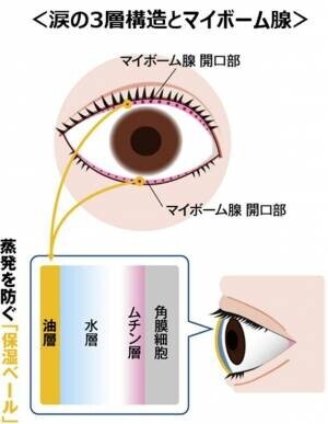 眼科医・有田玲子先生監修『涙液蒸発亢進型ドライアイリスクチェックリスト』をリリース- 瞳の保湿ベールを正常化させる5つのおすすめ習慣とは -