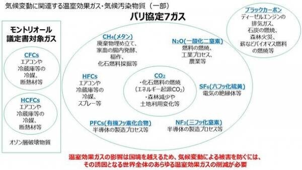 SDGs基本理念「誰一人取り残さない」ための気候変動対策を目指して、COP26開催に合わせ環境NGOがクラウドファンディングを実施