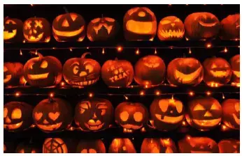 ひらかたパーク ２大フラワーイベント開催