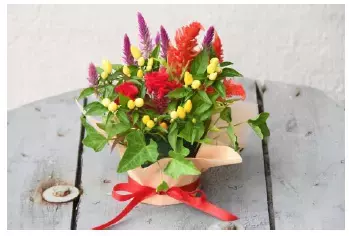 ひらかたパーク ２大フラワーイベント開催