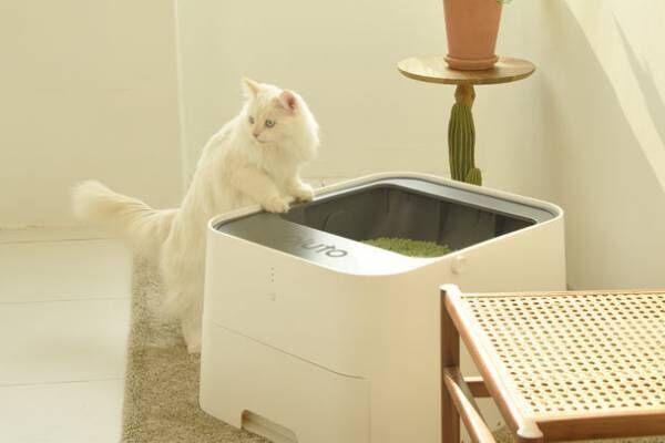 愛猫との生活をより快適にする自動クリーニングトイレ『Pluto Square』がクラウドファンディングサイトGREEN FUNDINGにて販売開始から48時間で650万円を達成！～2021年12月15日(水)までプロジェクト実施中～