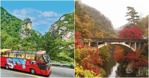 山梨・甲府市、アフターコロナの観光振興に向け　オープントップバスなどの公共交通を活用した観光拠点の周遊促進事業　10月16日(土)から2カ月間 実証運行を実施