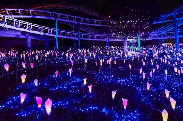 8年目を迎えるイルミネーション　音と光の魔法が踊り出す！光の遊園地　11月6日(土)開幕