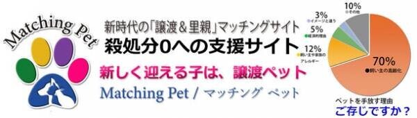 保護ペットのための新しい譲渡サイト「Matching Pet／マッチングペット」が10月20日に開設！保護ペットや高齢化により手放す方のためのマッチングサイト