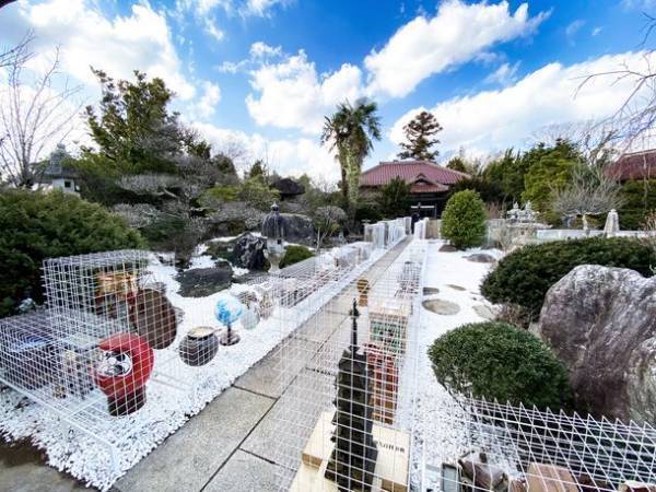 「房総里山芸術祭 いちはらアート×ミックス2020＋」　11月19日から12月26日まで開催