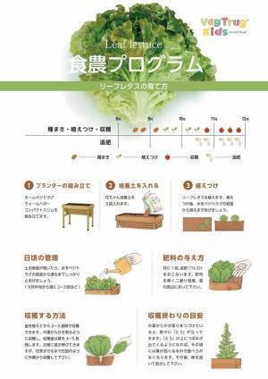 タカショーとJPホールディングスが協同で食農・食育プログラム『VegTrug(R) Kids(ベジトラグキッズ)』を開始