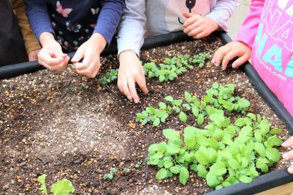 タカショーとJPホールディングスが協同で食農・食育プログラム『VegTrug(R) Kids(ベジトラグキッズ)』を開始