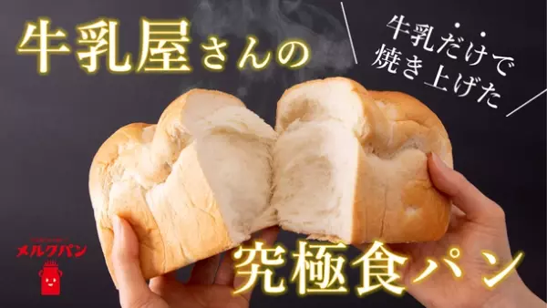 牛乳だけで仕込む、牛乳屋さんの食パン！？牛乳宅配店が兵庫県尼崎で食パン専門店開業のためクラウドファンディングに挑戦！！