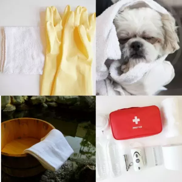 コロナ禍の衛生対策から清掃や防災備蓄まで！幅広いシーンで活用できる4種の『使い捨てタオル』　個人様・業者様にも便利な価格と枚数で販売開始