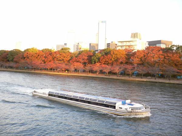 「アクアライナーで紅葉狩り」をしませんか？