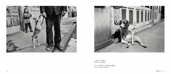 写真集『MAGNUM DOGS マグナムが撮った犬』10月25日（月）発売！