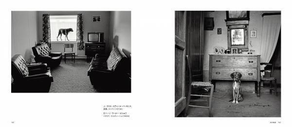 写真集『MAGNUM DOGS マグナムが撮った犬』10月25日（月）発売！