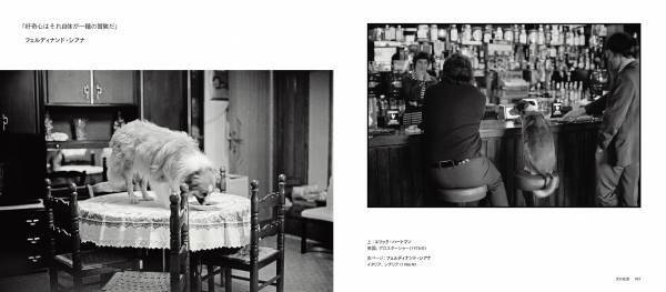 写真集『MAGNUM DOGS マグナムが撮った犬』10月25日（月）発売！