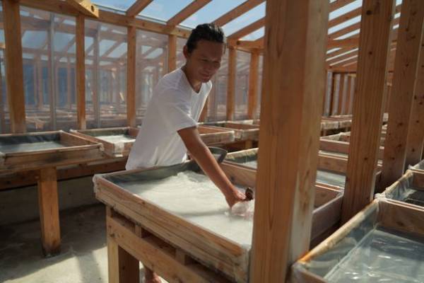 映画「竜とそばかすの姫」の舞台のモデル『仁淀ブルー』を求めて観光客が急増　清流が育む地域文化を体験する“聖地巡礼”　仁淀ブルー体験博が初開催　10月22日(金)～11月30日(火)