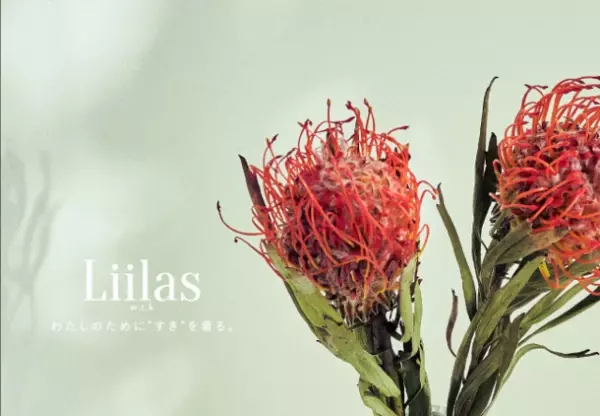 11月1日にブランド公式オンラインサイトを新規オープン。-“すき”に寄り添うファッションブランド「Liilas」-