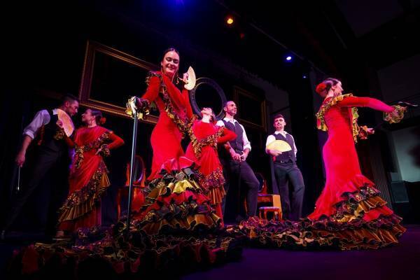 【志摩スペイン村】11月12日（金）　高さ約7ｍのクリスマスビッグツリー登場！「スパークリング・クリスマス」の実施