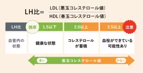 コレステロール管理の指標「LH比」の重要性について特集した記事を健康情報サイト「RAYDEL」にて公開