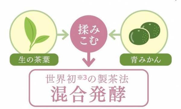 高めの血圧(収縮期血圧)を下げる機能性表示食品『青みかん入り まるごと発酵茶＜機能性表示食品＞』を11/4発売　～100％長崎県産の「茶葉」と「青みかん」を使用～