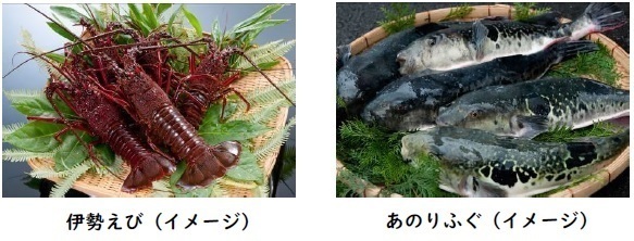 ～志摩市×近鉄　しまの冬の食と鉄道の旅応援事業～志摩の冬の食材を満喫できる旅行商品を割引して販売します！