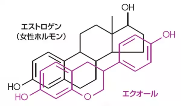 大豆由来の腸内代謝物「エクオール」含有素材「フラボセルEQ-5N」の製造能力増強