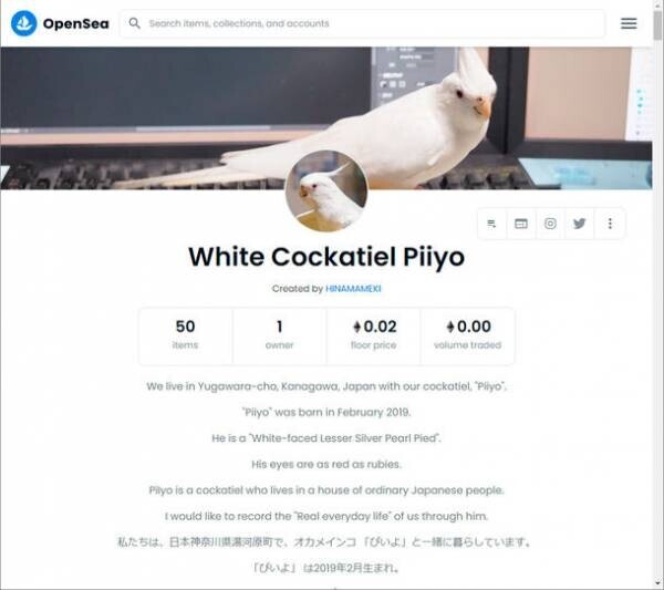 写真NFTコレクション「White Cockatiel Piiyo」全50点をリリースしました。