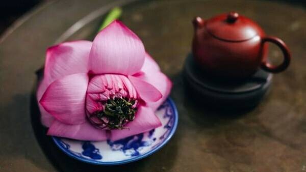 お茶の起源・シャンティの最高峰を日本に！ベトナムの天空の村Ta Xuaの古代少数民族が作る奇跡のしずく「プレミアム・シャンティ」販売開始