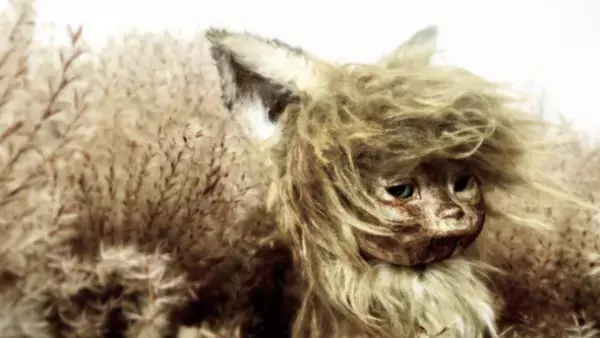 文化庁メディア芸術祭高知展「ニューツナガル」開催決定のお知らせ